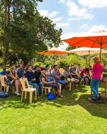 TEA FARM TOUR