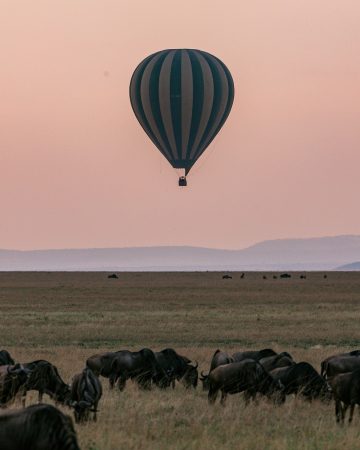 HOT AIR BALOON